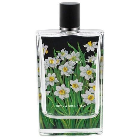 White Narcisse