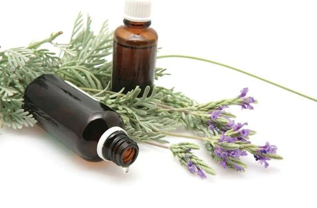 Apply Essential Oils In or Around Vents