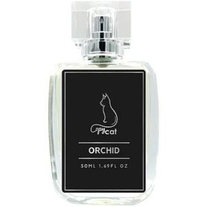 Black Orchid by Copy Cat