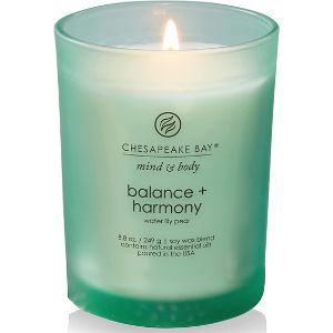 Chesapeake Bay Candle Scented Candle