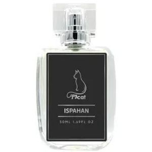 Copycat Fragrances dupes