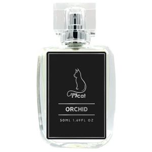 Black Orchid by Copycat