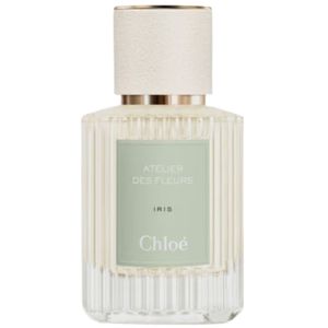 Atelier Des Fleurs Iris by Chloe