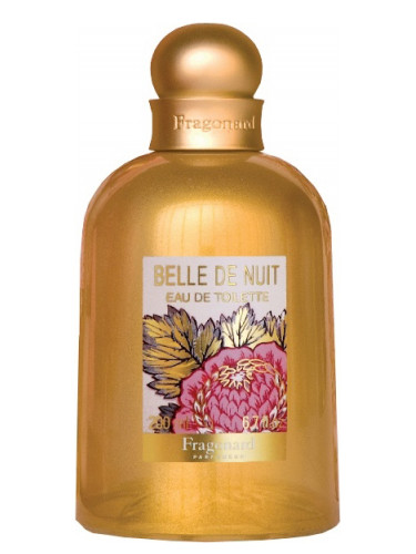 Belle de nuit by Fragonard