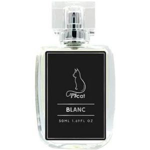 Inspired by Soleil Blanc by Copycat