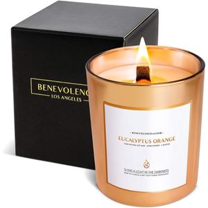 Eucalyptus Orange Scented Candle by Benevolence LA