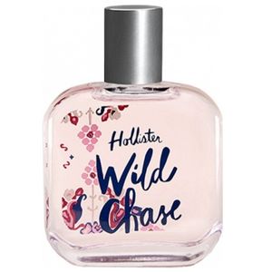 Hollister Wild Chase