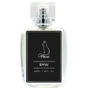 Inspired by Silver Mountain Water by Copycat