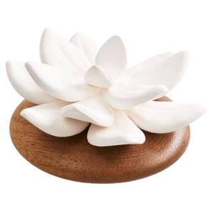 Lemongrass Succulent Diffuser