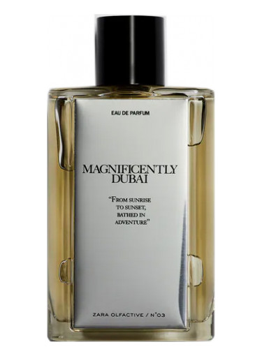 Magnificentely Dubai Zara