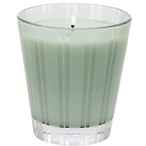 NEST Fragrances Wild Mint & Eucalyptus Candle