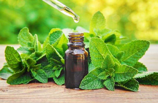Peppermint Essential Oil to Deter Raccoons