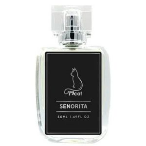 Senorita by CopyCat