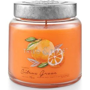 Tried & True Citrus Grove Candle