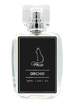 black orchid copycat