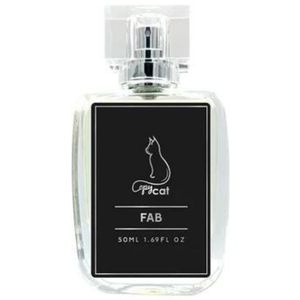 inspired by Fabulous by Copycat