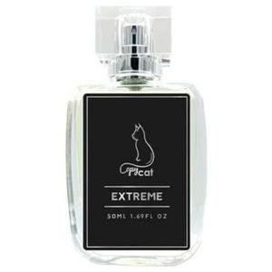 inspired by Noir Extreme by Copycat
