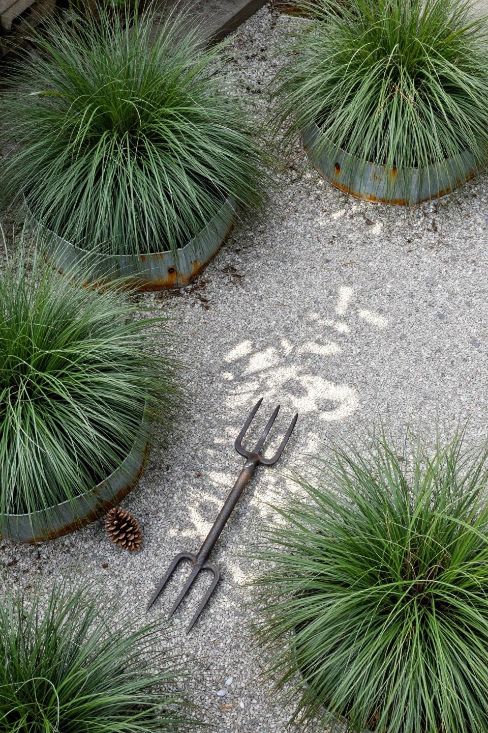 Side yard landscaping with feathery miscanthus grasses