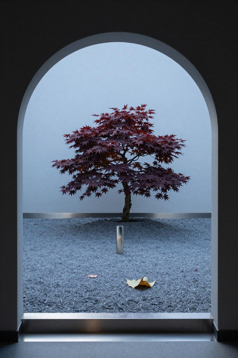 Simple backyard landscaping with burgundy Japanese maple