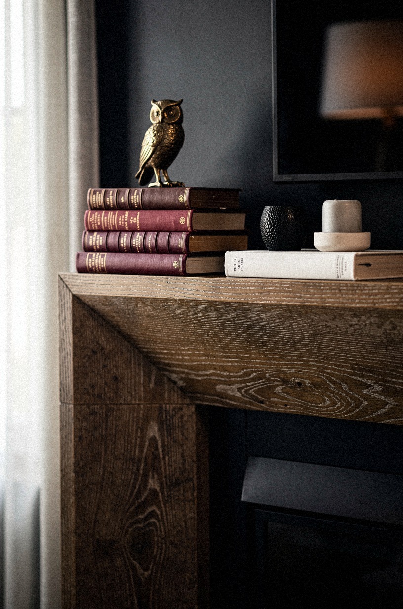 Stack oxblood books beneath brass owl figurines
