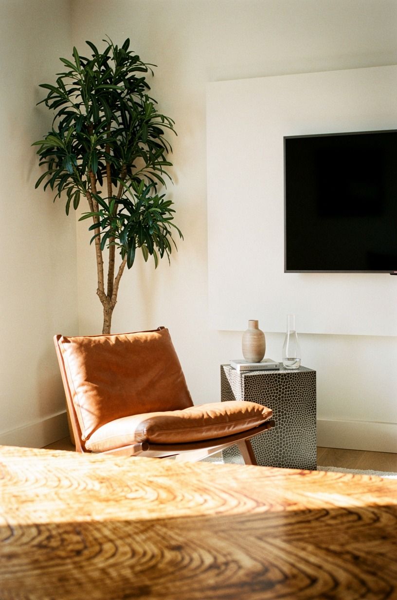 Set a Single Tall Plant in the Corner