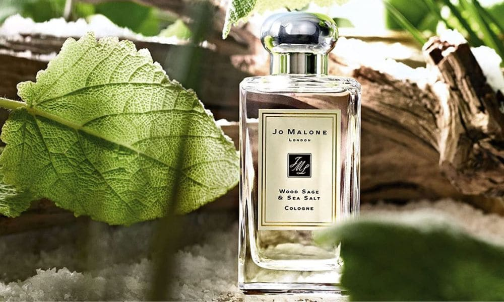 Jo Malone Wood sage and Sea salt dupe, 5 top rated alternative perfumes