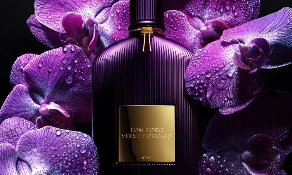 Velvet Orchid dupe - 4 best clones similar to this Tom Ford scent