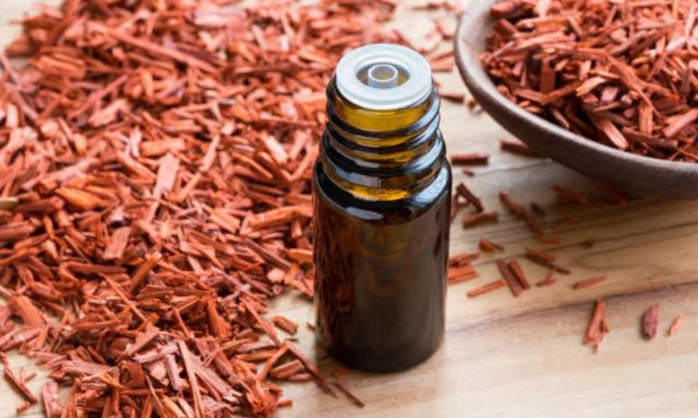 What does sandalwood smell like? All about this perfume ingredient