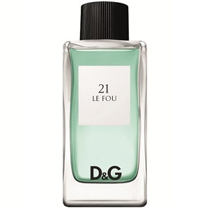 D&G 21 - Le Fou