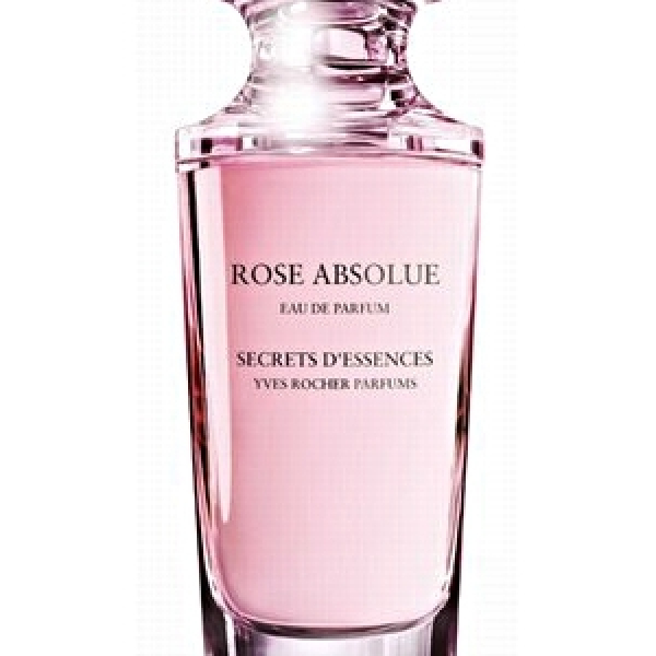 Rose Absolue Rose Absolue