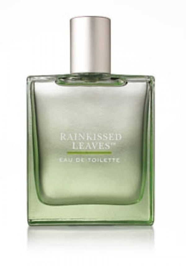 Rainkissed Leaves Rainkissed Leaves