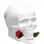 Skulls & Roses for Her