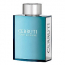 Cerruti pour Homme